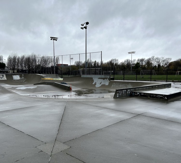 berkeley-skatepark-photo